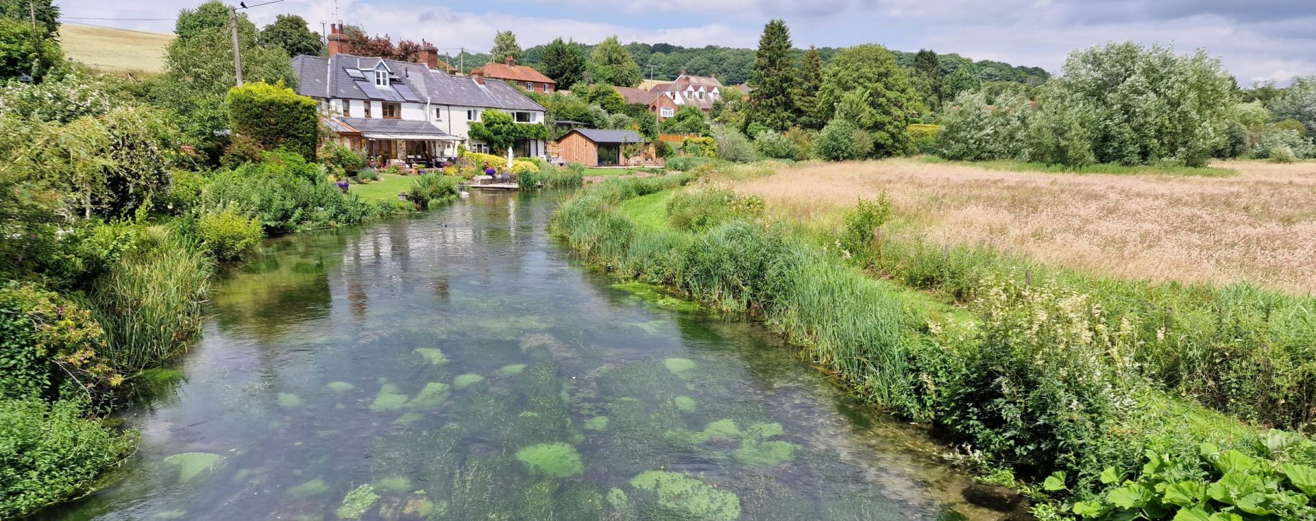 The image shows a scenic view of the River Kennet in Axford. On the left, charming houses with well-tended gardens stretch down to the riverbank, which is lush with greenery and flowers. The clear river reveals patches of aquatic plants and moss-covered rocks beneath the water's surface. The right bank is bordered by tall grasses and wild vegetation, leading to an open field of golden grass. In the background, additional houses and a mix of trees create a picturesque rural setting under a partly cloudy sky. The scene is tranquil and idyllic, highlighting the natural beauty of the River Kennet.