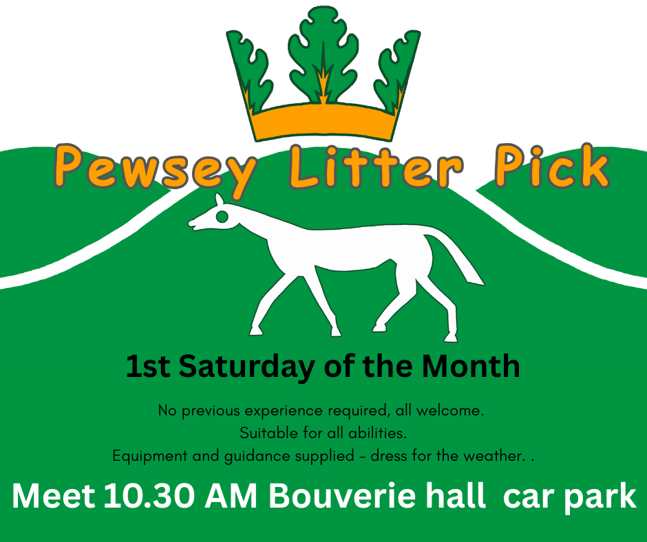 Pewsey Litter Pick - August